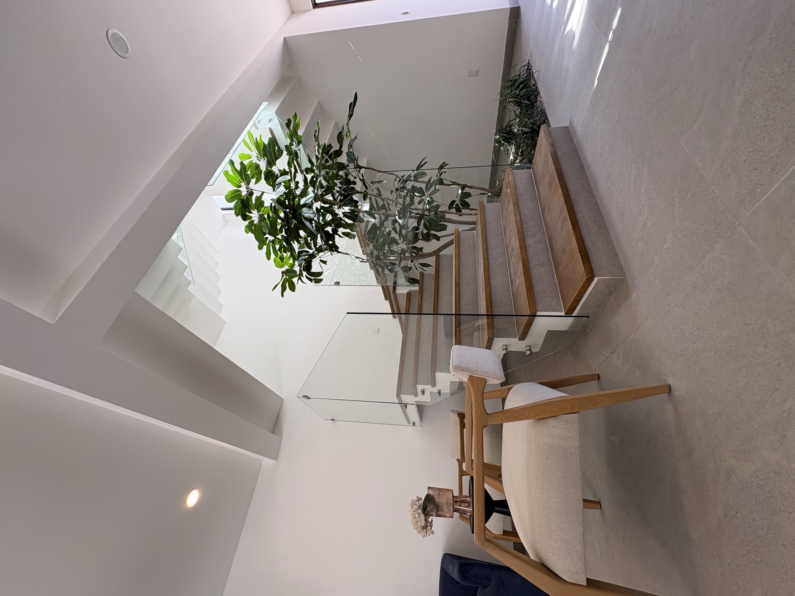 Saya — Árbol interior bajo escalera