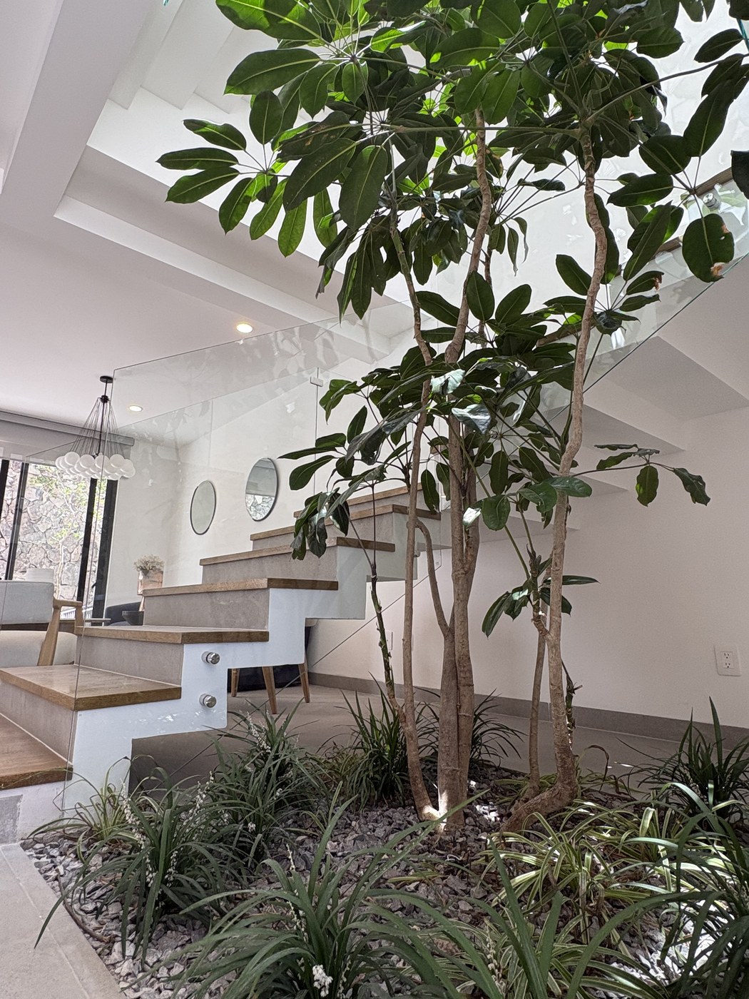 Saya — Hall de acceso con árbol interior